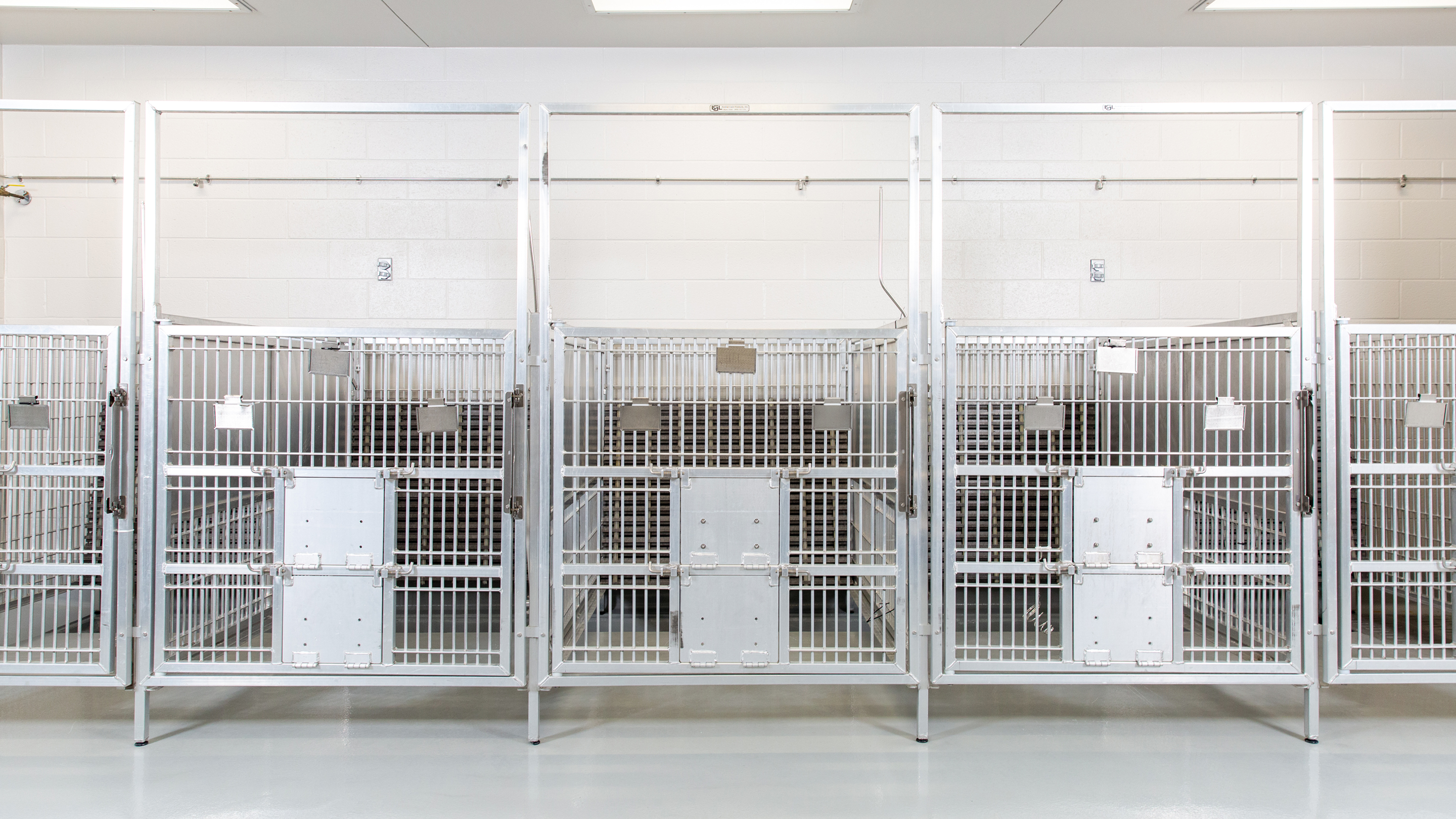 vivarium_cropped_53RMq8O