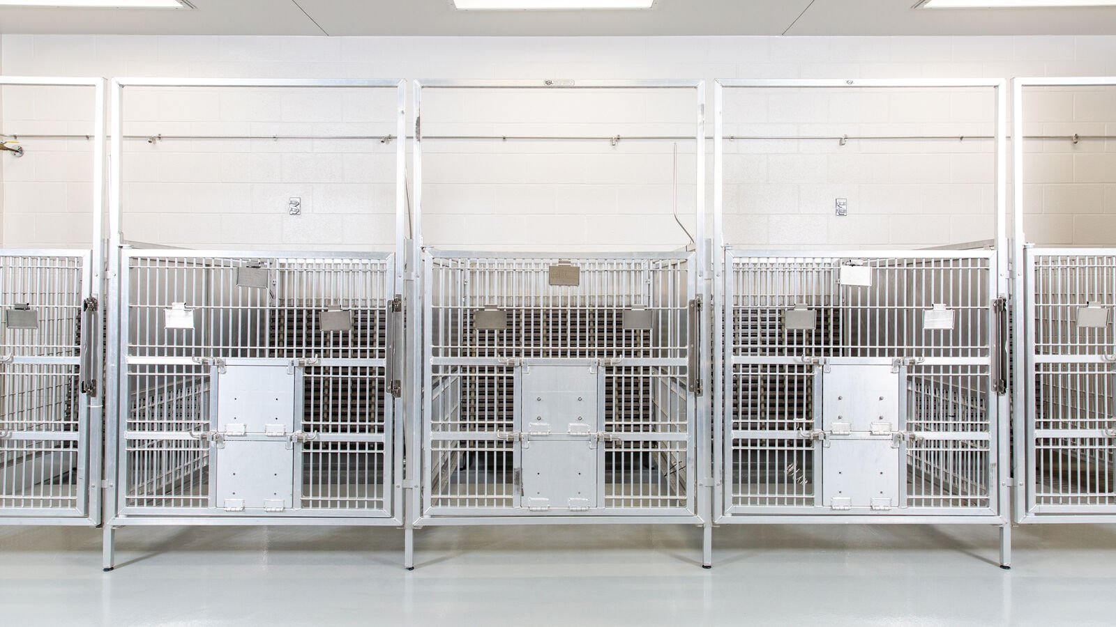 content.featured_image_alt_text